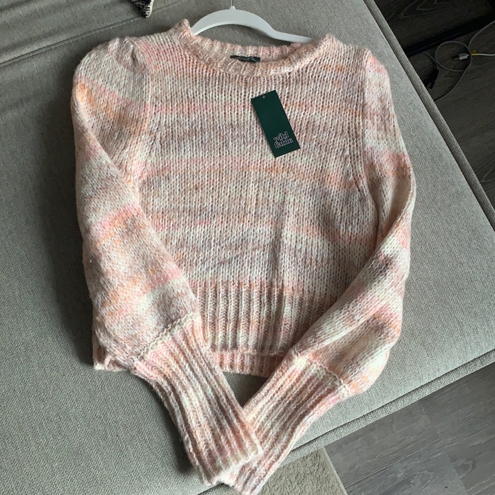 Wild fable sweater